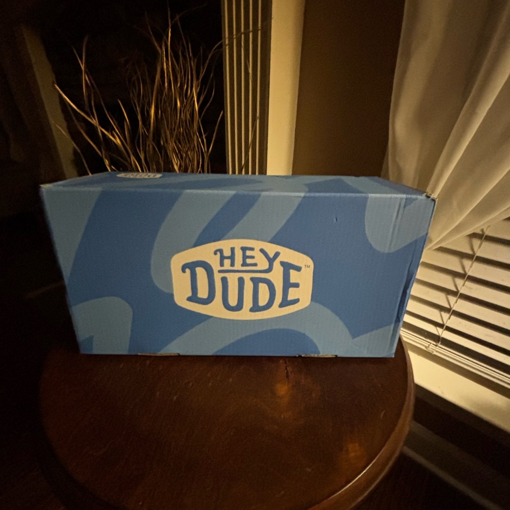 Hey Dude Blue Shoe without box